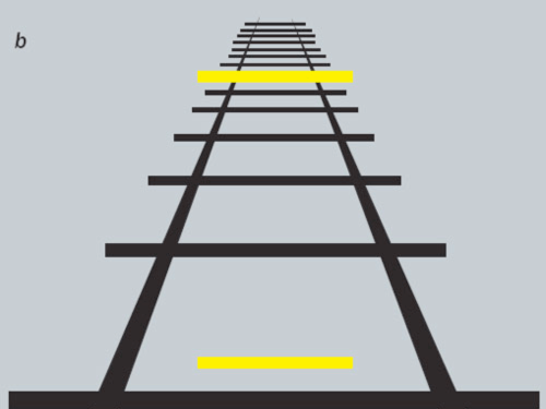 Railway line illusion